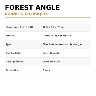 FOREST ANGLE (2)