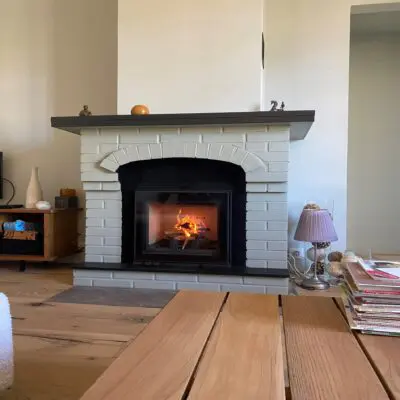 insert à bois fonte chazelles chaleur flamme chauffage bois
