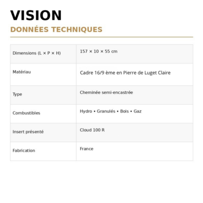 VISION (2)